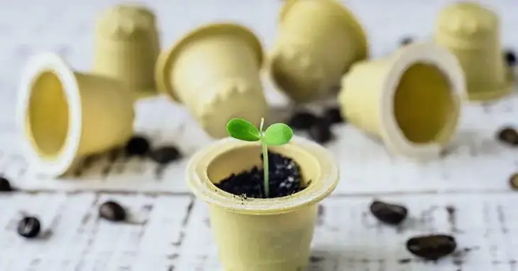 Transformez vos capsules de café en pots de fleurs écologiques